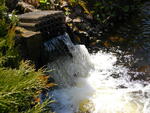IMGP0663.JPG