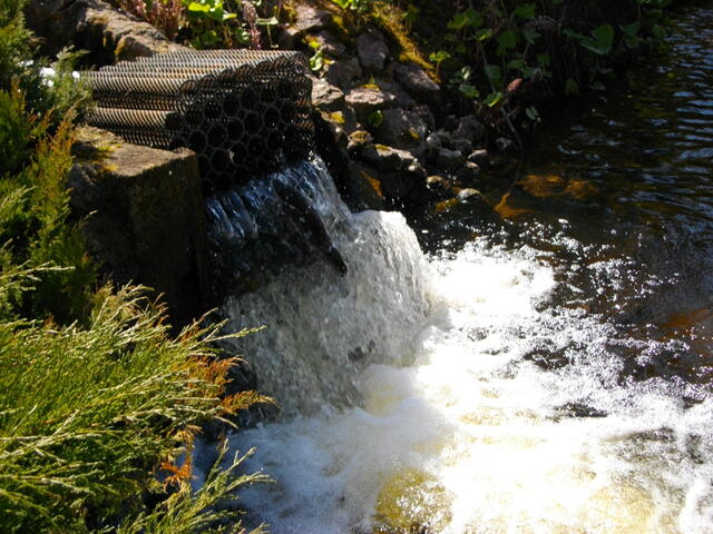 IMGP0663.JPG