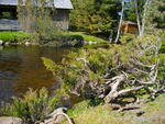 IMGP0666.JPG