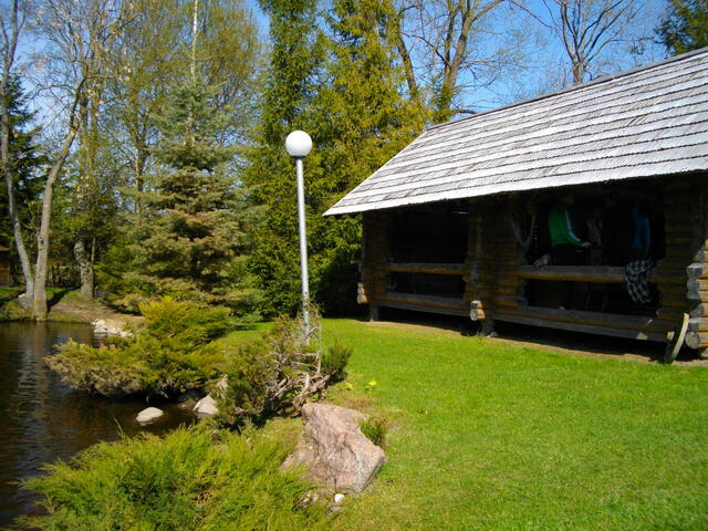 IMGP0667.JPG