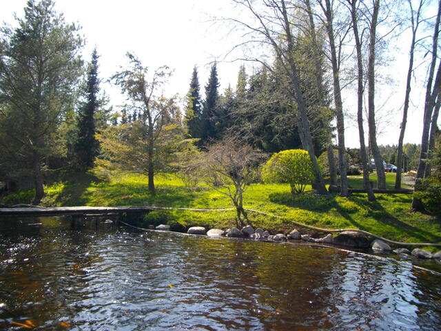 IMGP0670.JPG