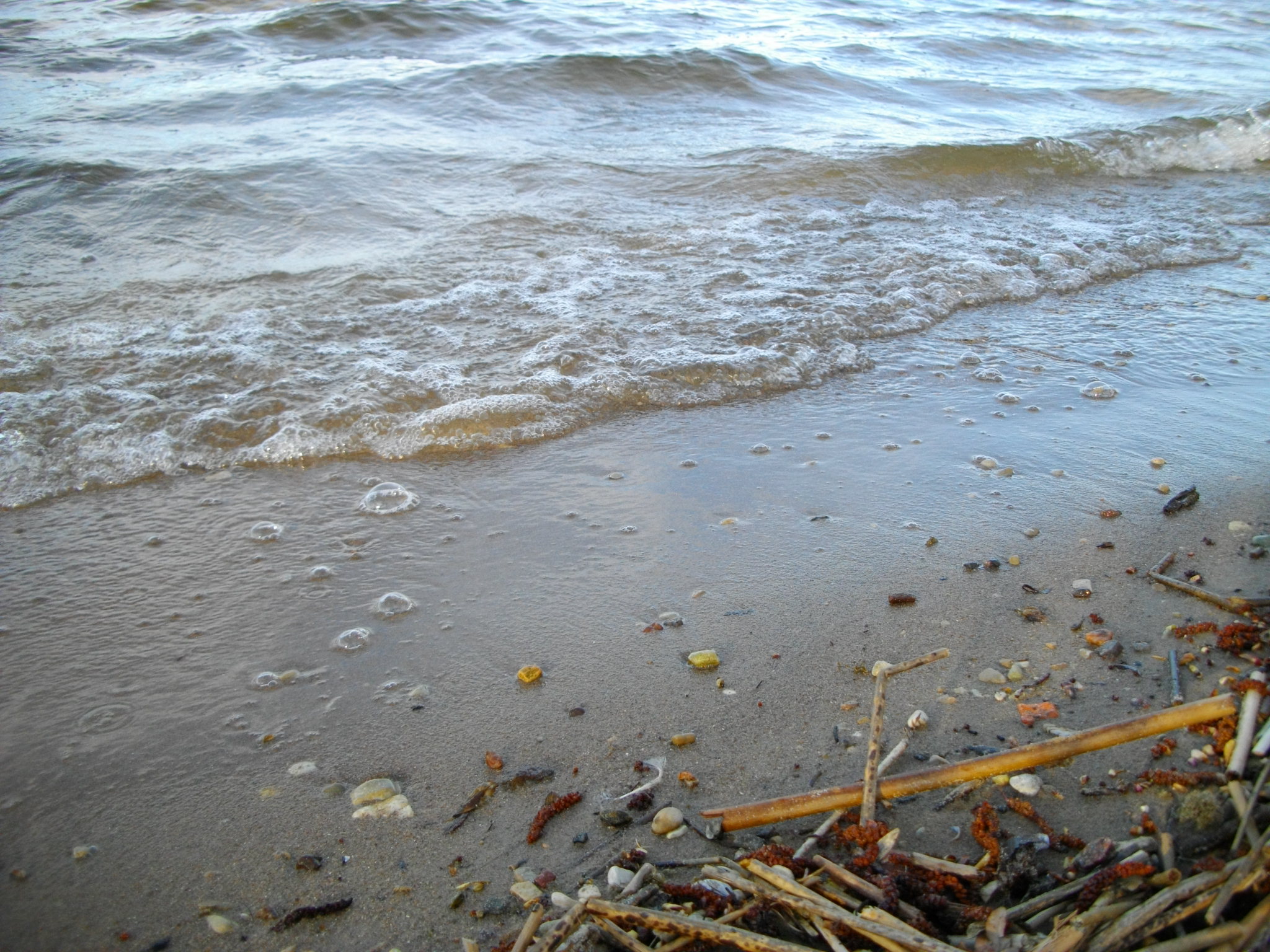 IMGP0687.JPG