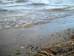 IMGP0687.JPG