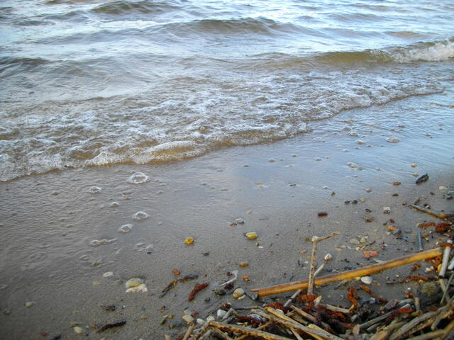 IMGP0687.JPG