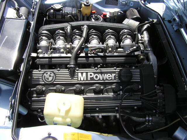 P7290021.JPG