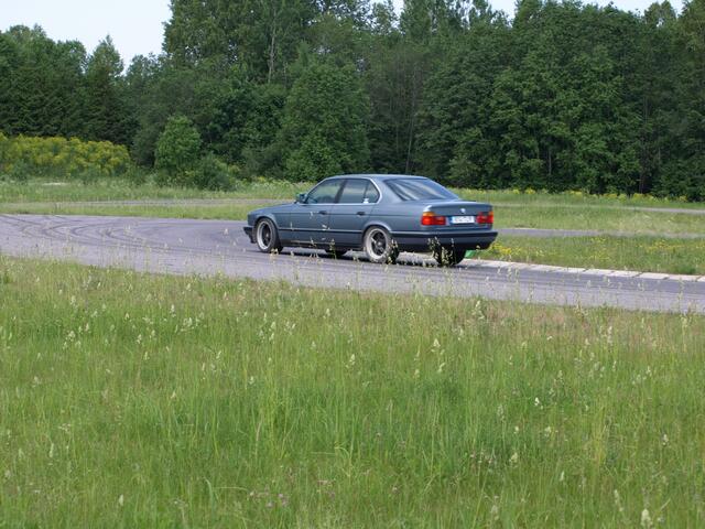 Picture 279a.jpg