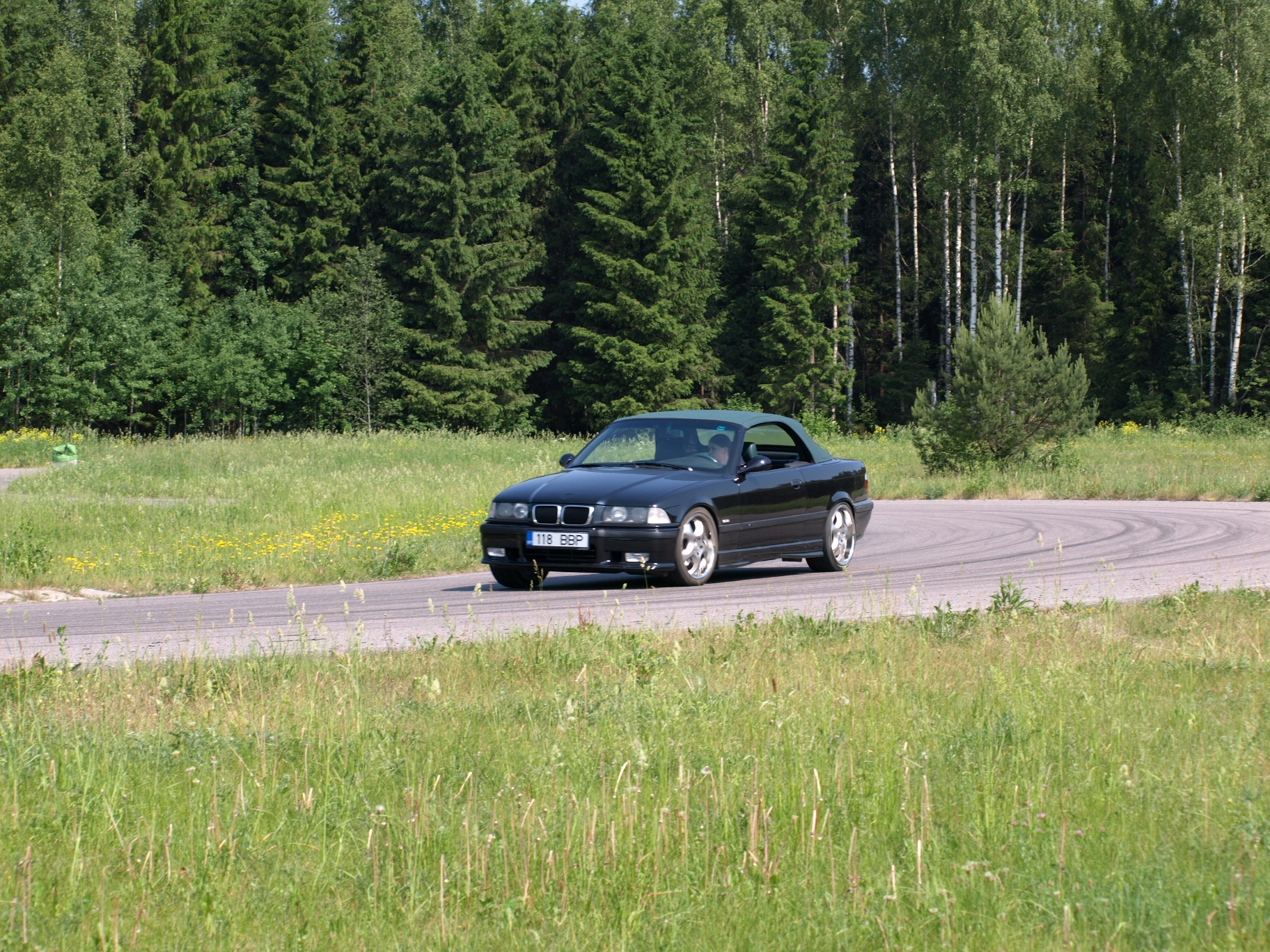 Picture 356a.jpg