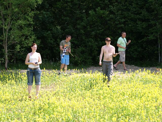 Picture 376a.jpg