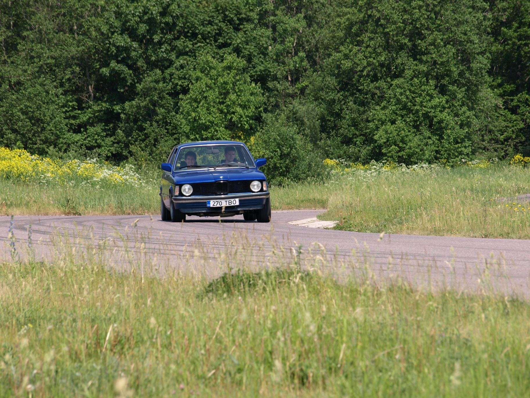 Picture 384a.jpg