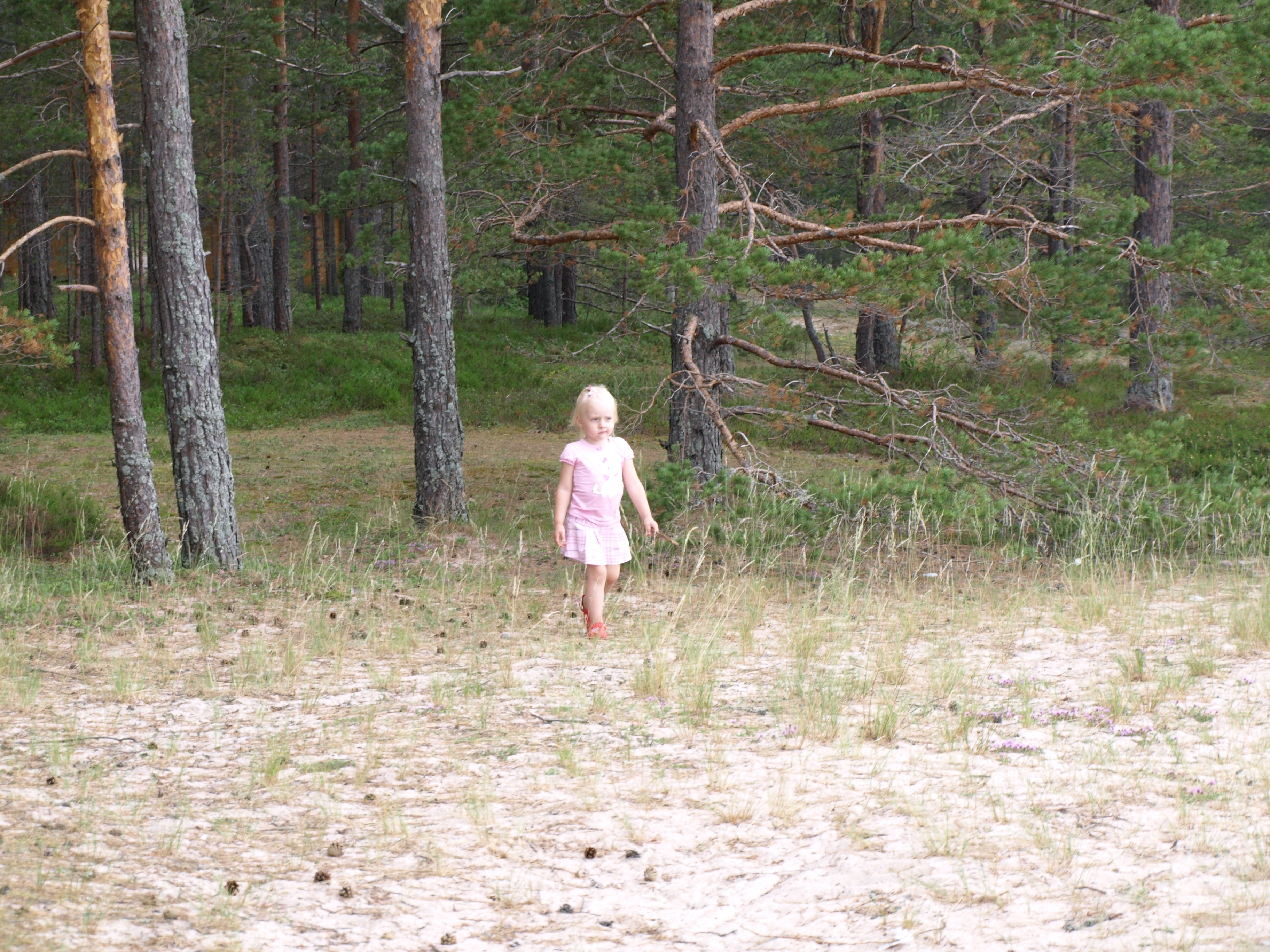 P7091470.JPG