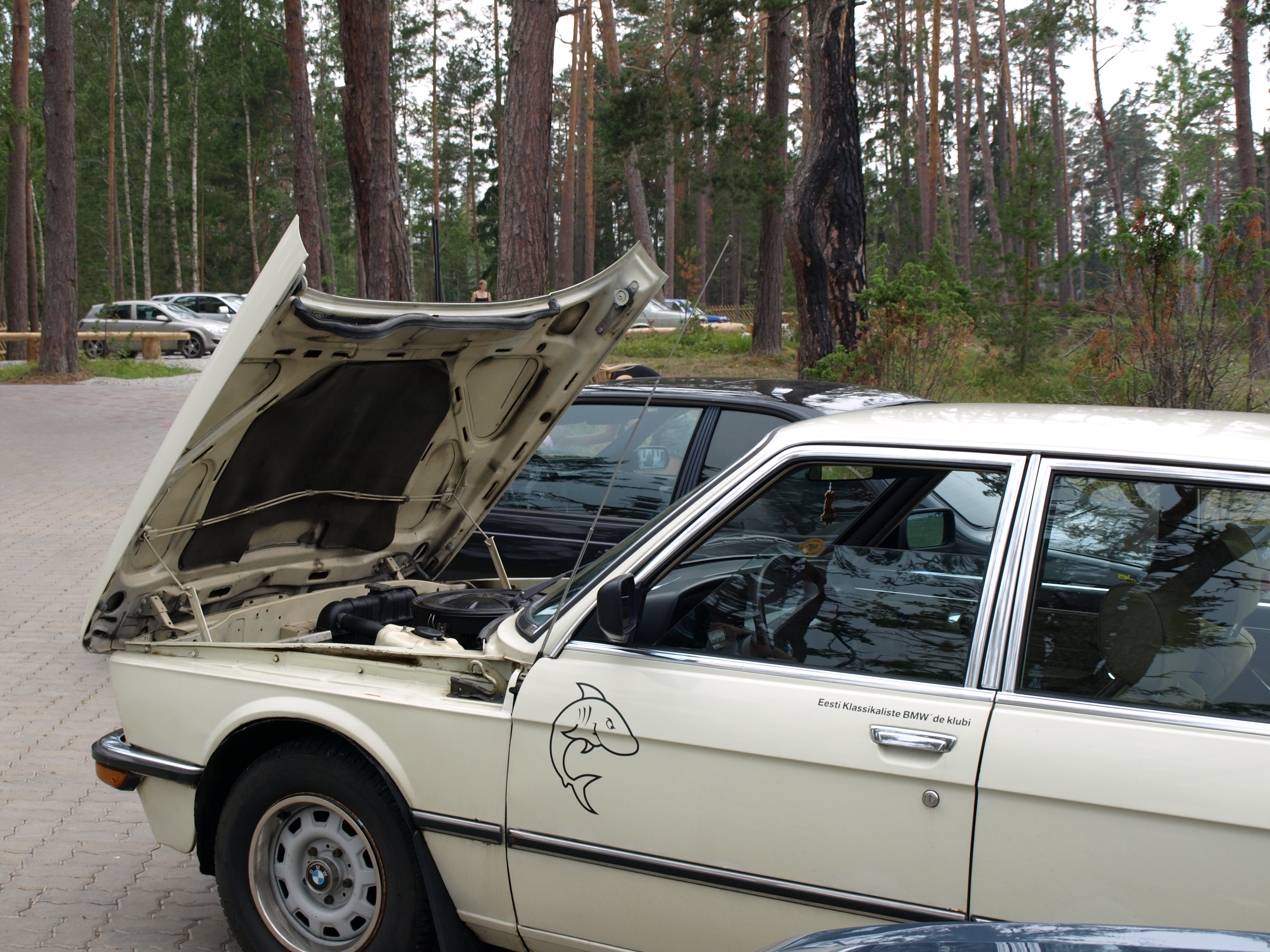 P7091479.JPG