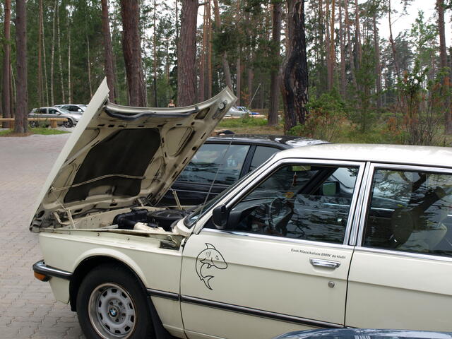 P7091479.JPG