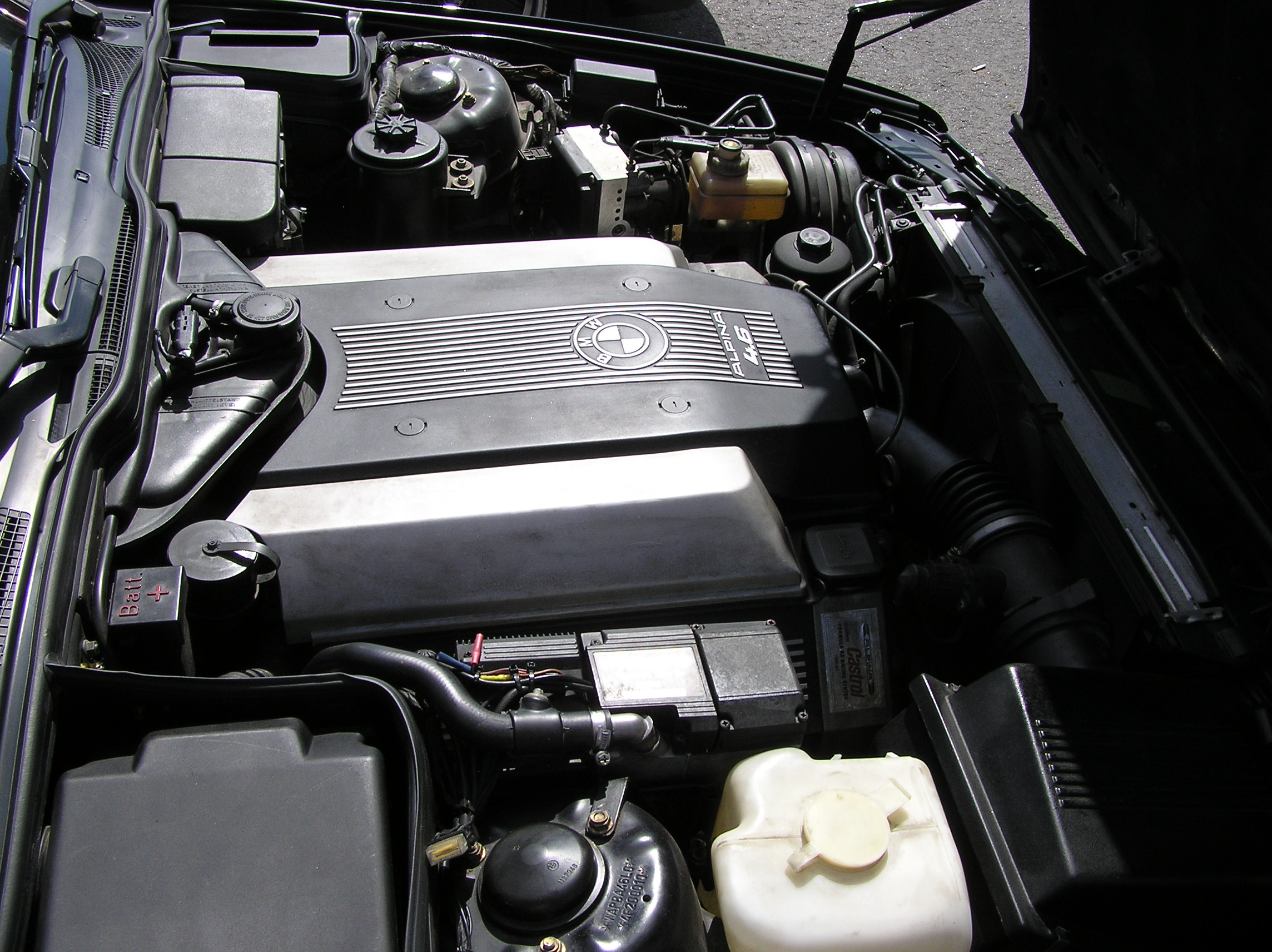 P7290003.JPG