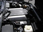 P7290003.JPG