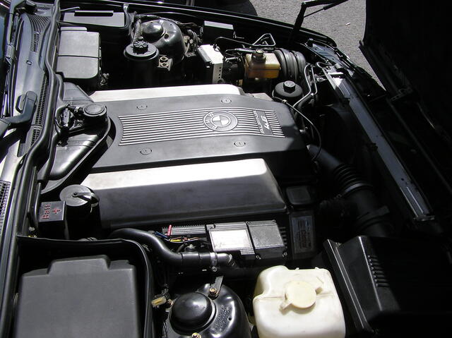 P7290003.JPG