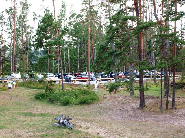 P7097686.JPG