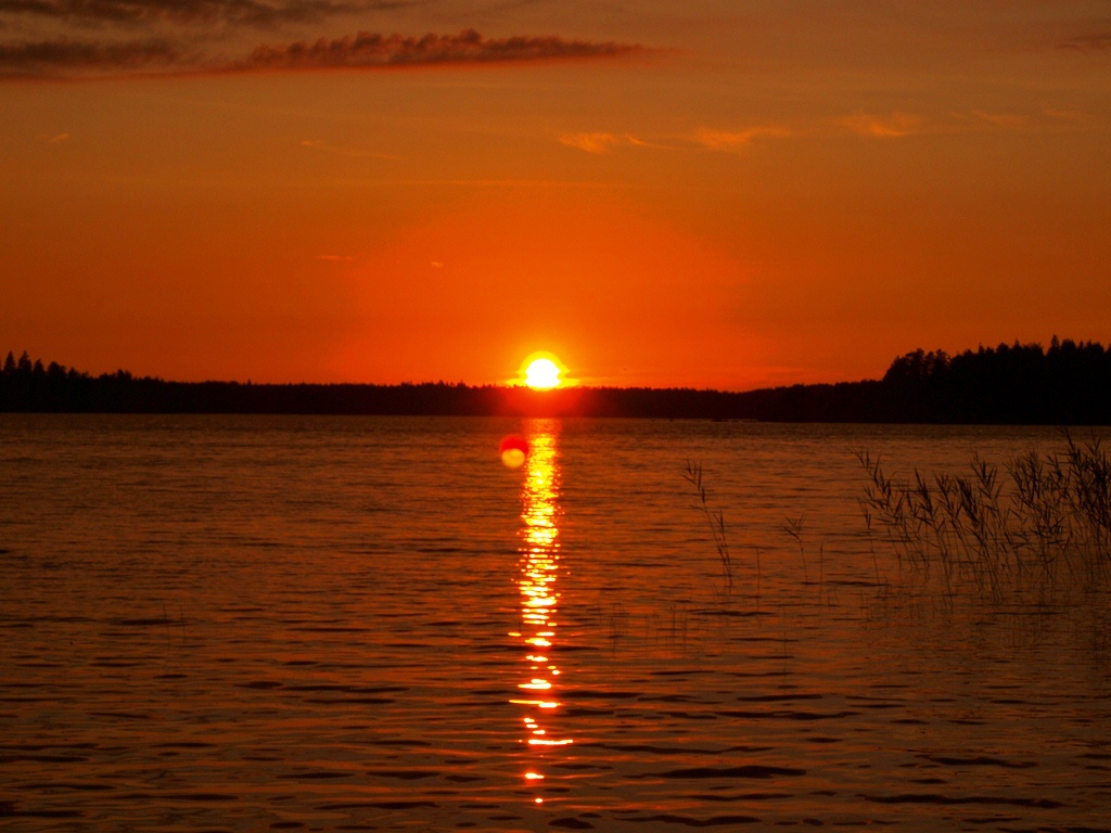 P7288799.JPG