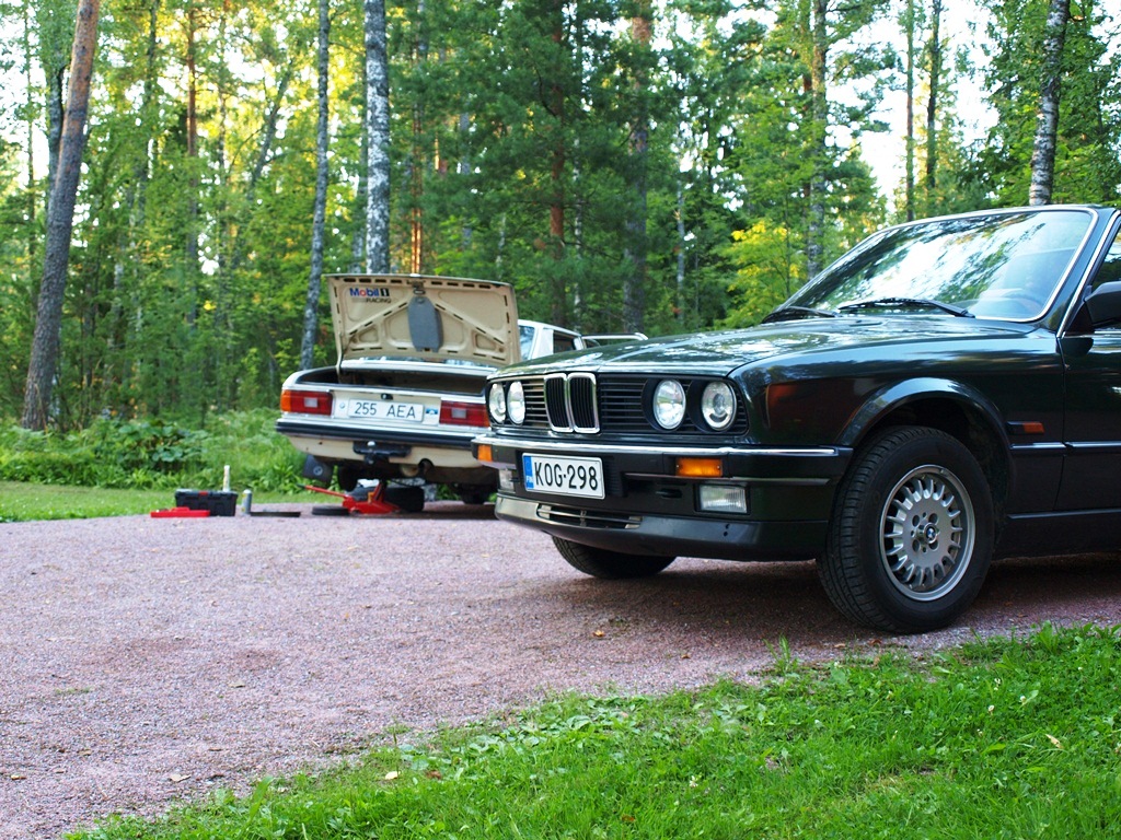 P8039478.JPG