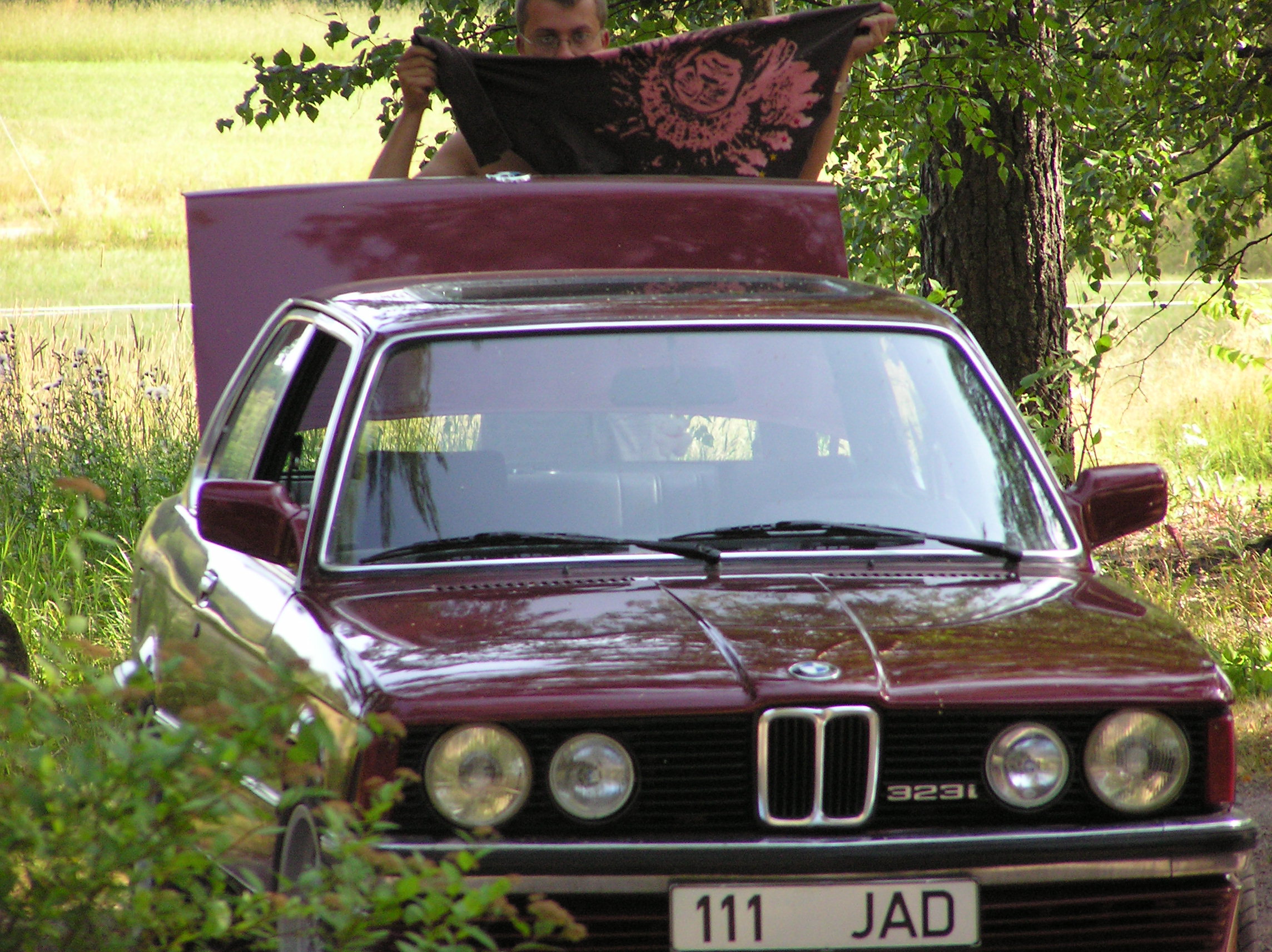 P7300057.JPG