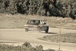 DSC_7253-Edit.jpg