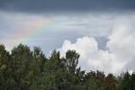 DSC_7270.jpg