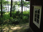 P7300061.JPG