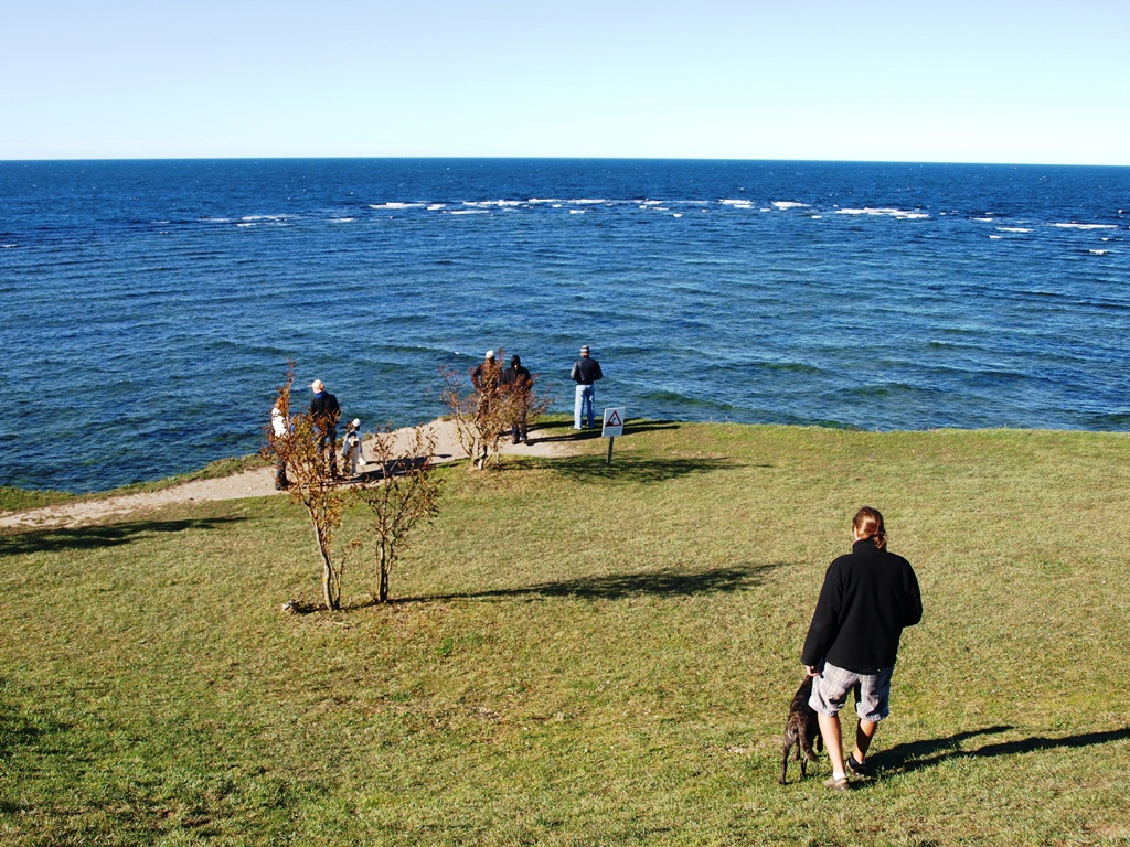 PA010720.JPG