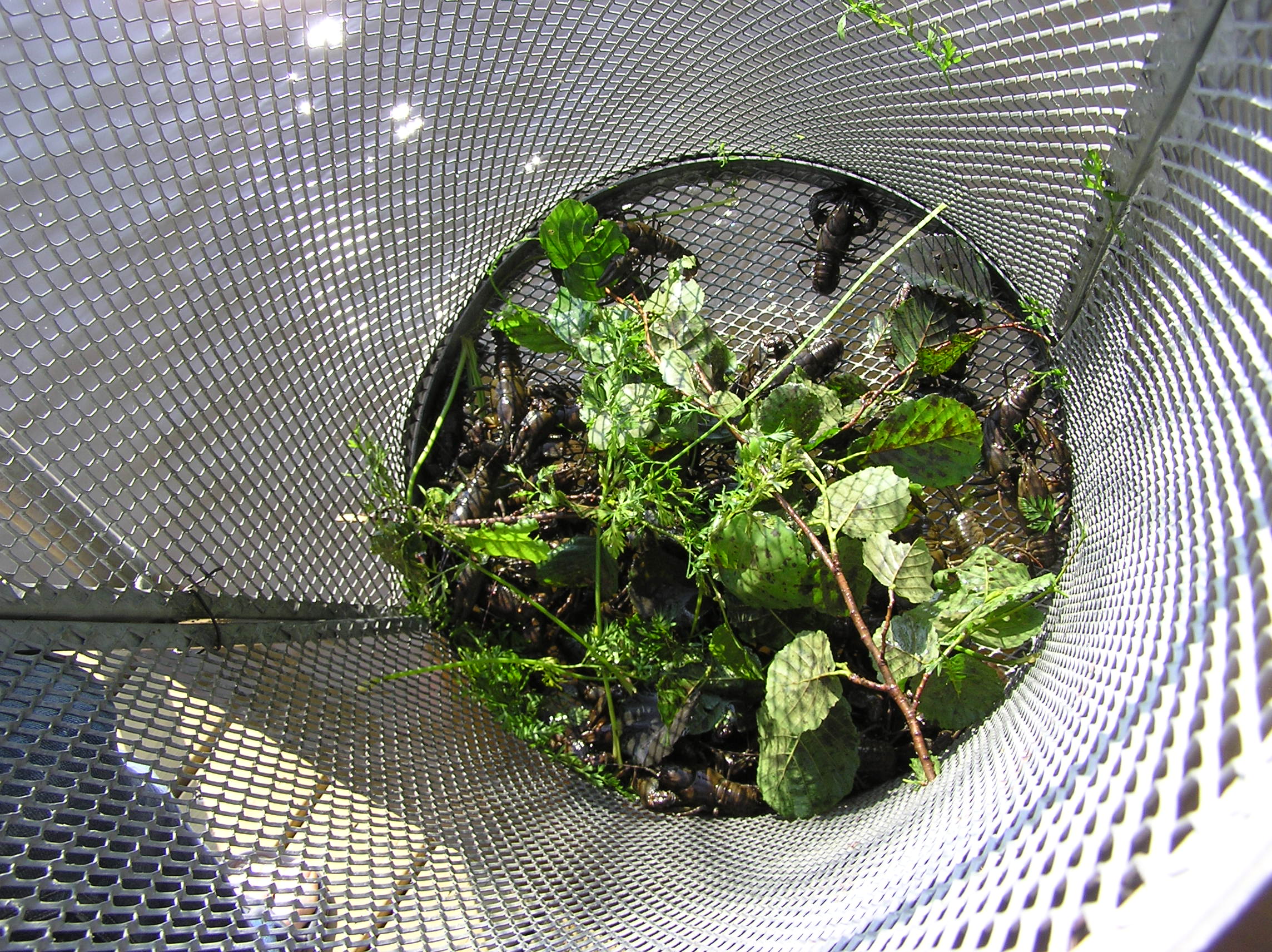 P7300069.JPG
