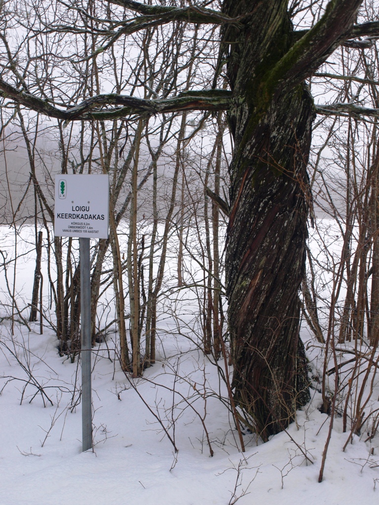P2251582.JPG