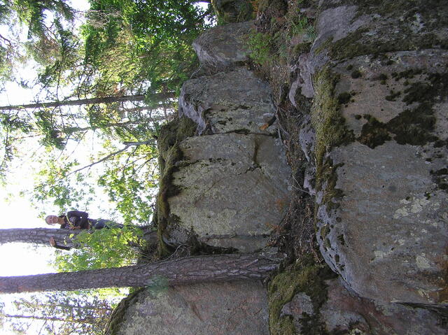 P7300006.JPG