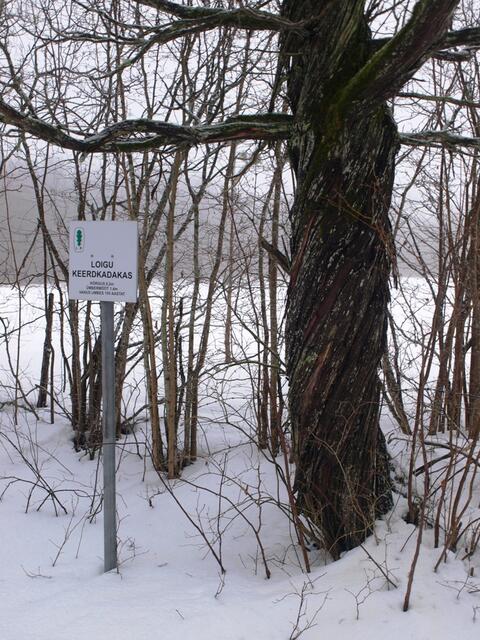 P2251582.JPG
