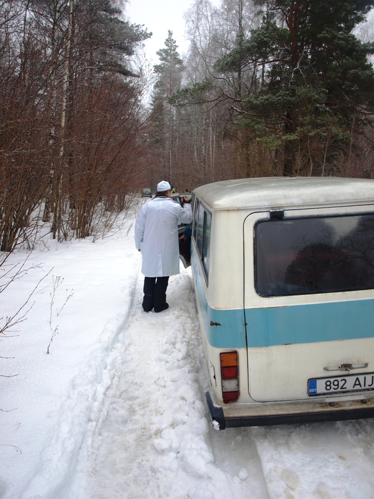 P2251583.JPG