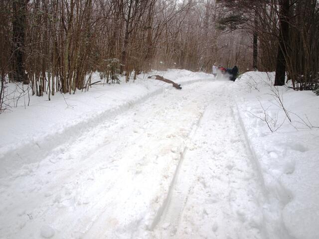 P2251588.JPG
