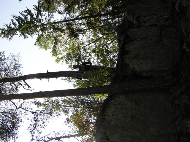 P7300007.JPG