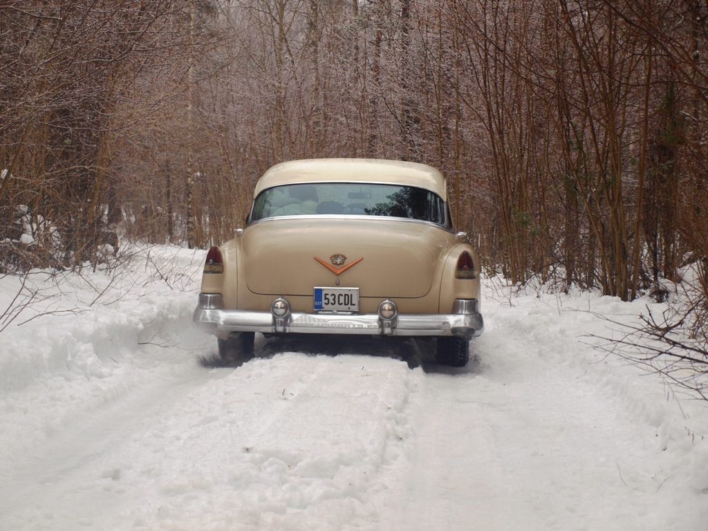 P2251594.JPG