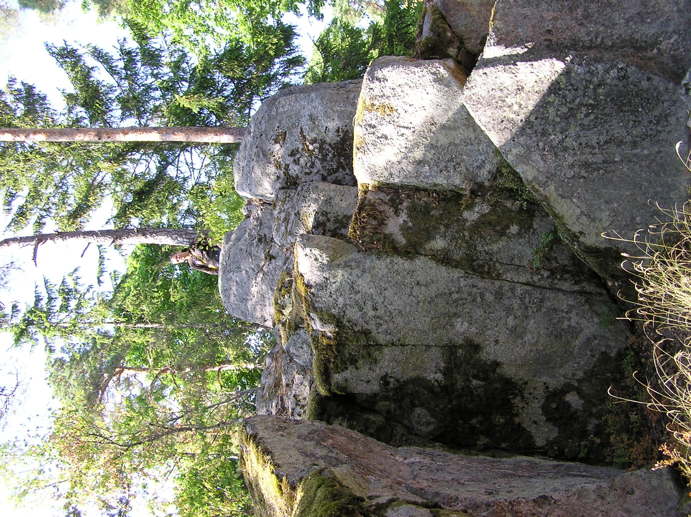 P7300008.JPG
