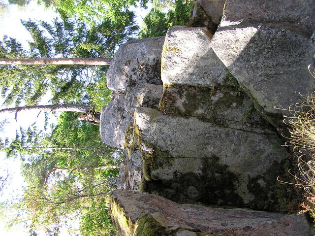 P7300008.JPG