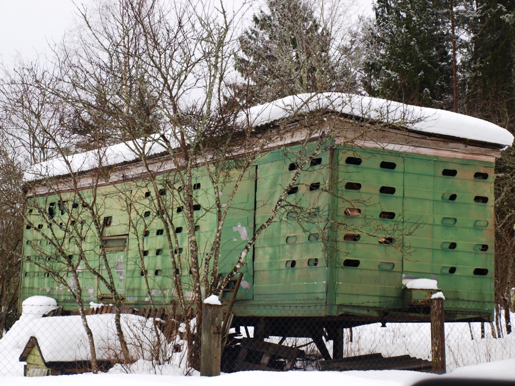 P2251610.JPG