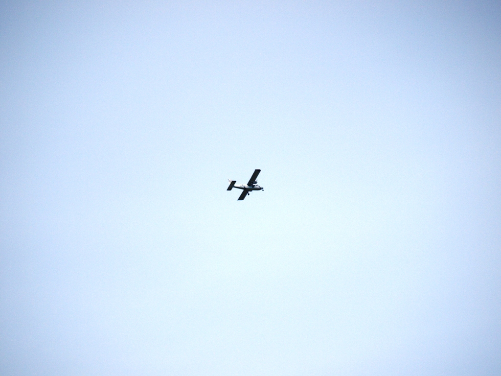 P5192347.JPG