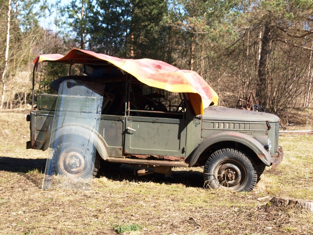 P4205235.JPG