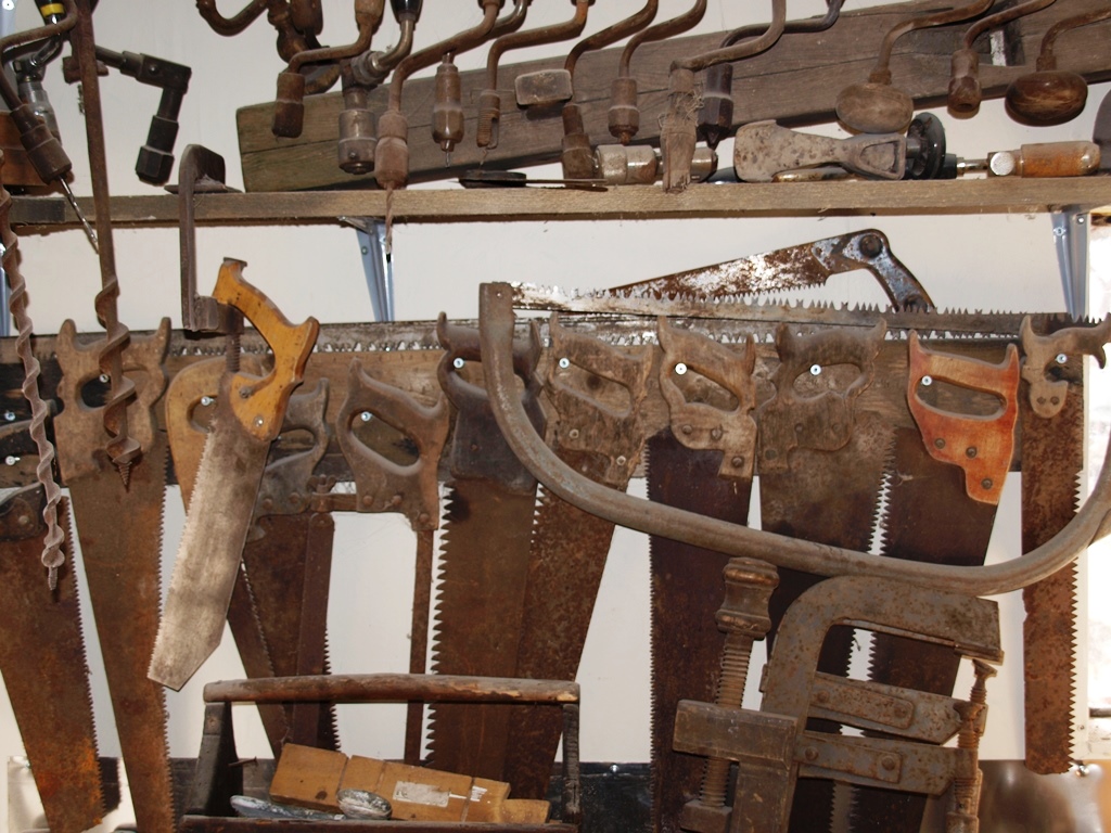 P4205244.JPG