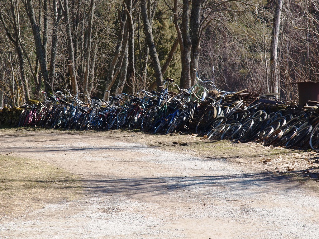 P4205266.JPG