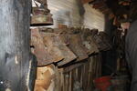 IMG_4991.JPG
