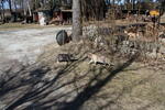 IMG_5005.JPG