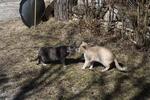 IMG_5006.JPG