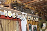 IMG_5033.JPG