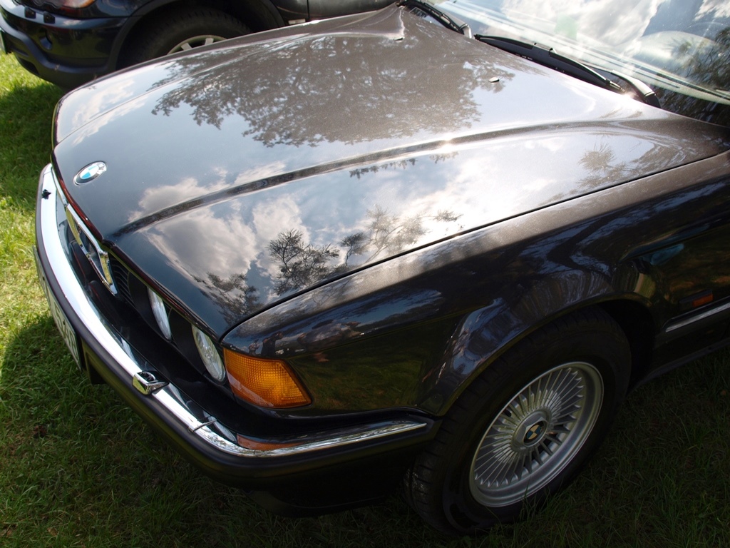 P5185555.JPG