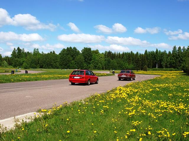 P5256438.JPG