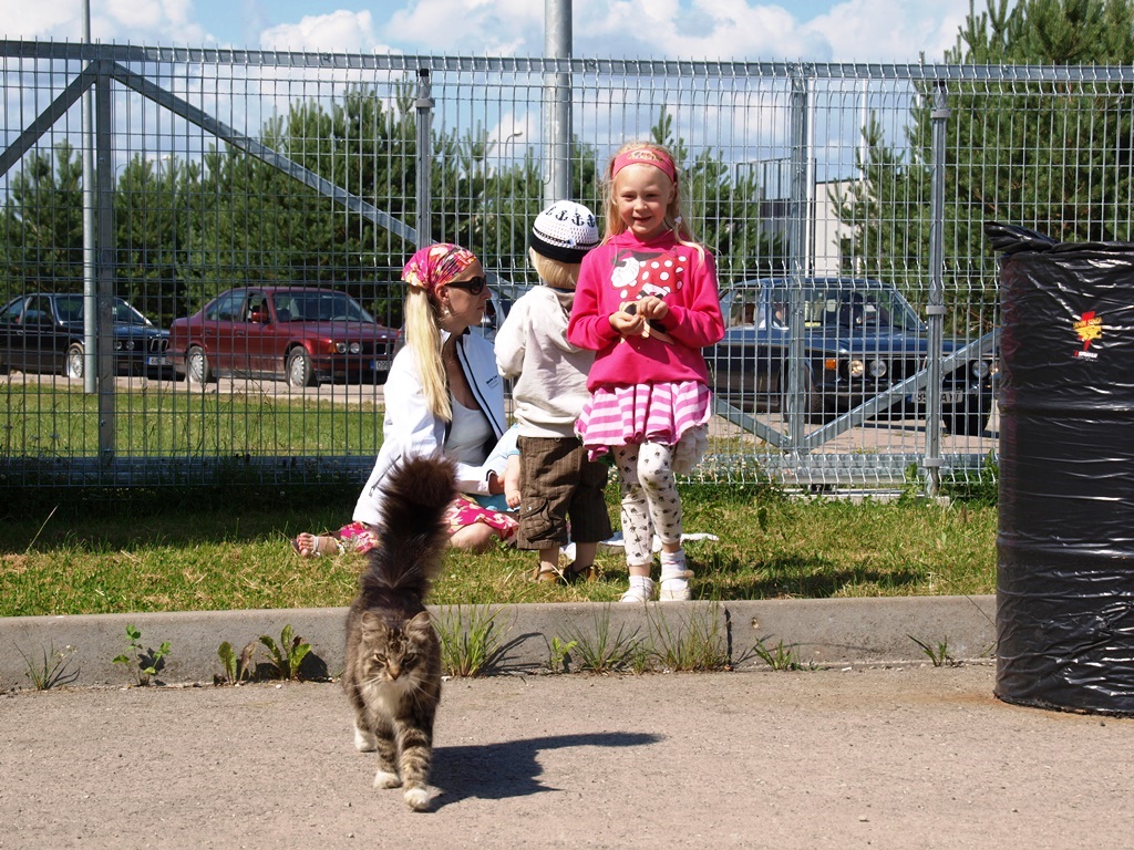 P7067239.JPG