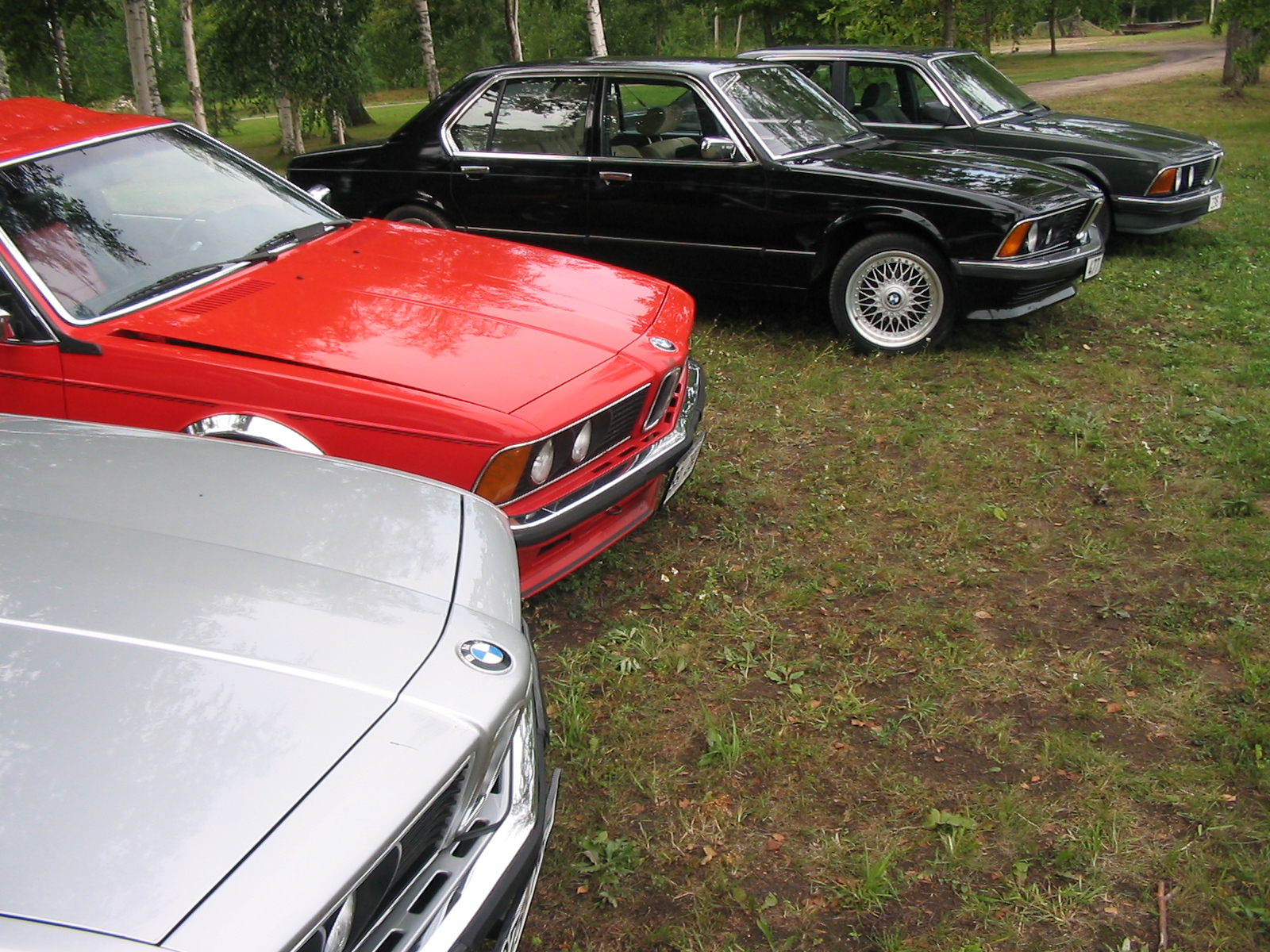 IMG_5175.jpg
